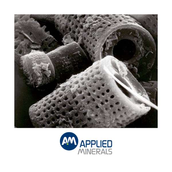 Celatom Diatomite CP