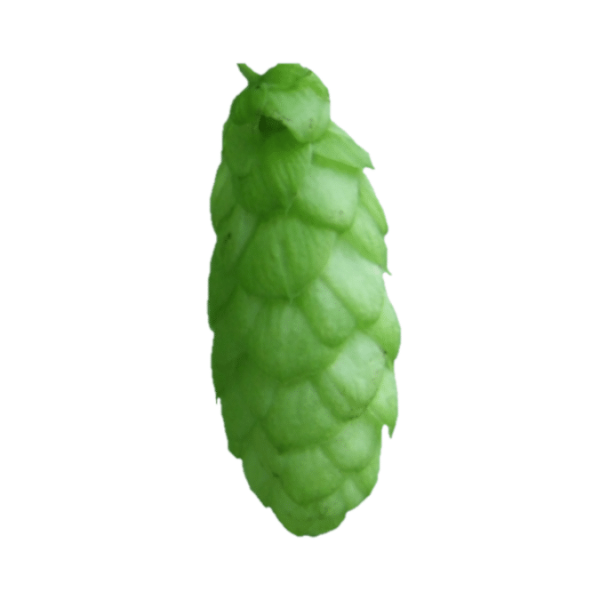 Admiral Hops (5kg) British 2022