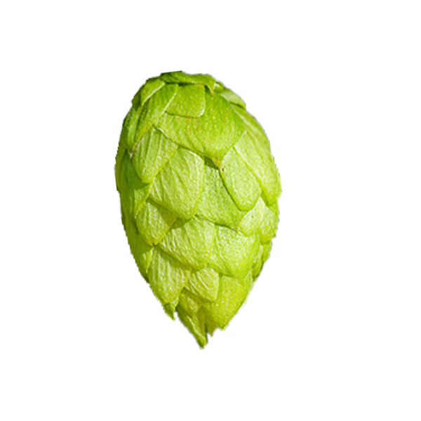 Azacca Hops (5kg) American 2022