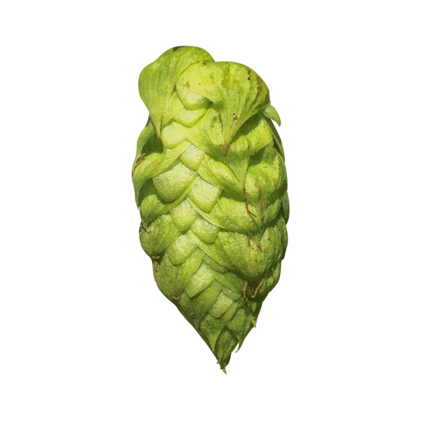 Columbus Hops (5kg) American 2022