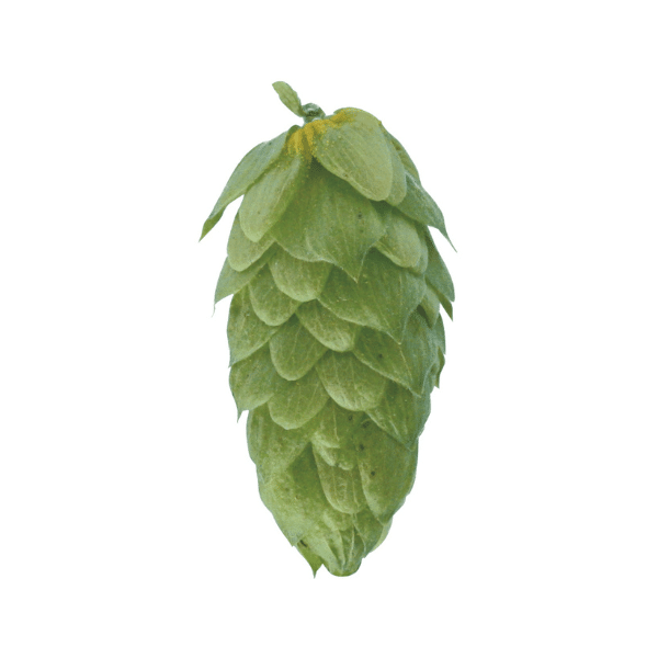 Dana Hops (5kg) Polish 2022