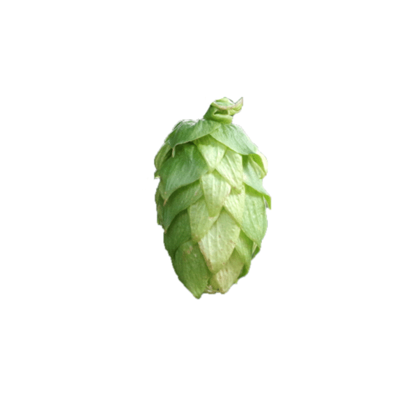 Galena Hops (5kg) American 2022