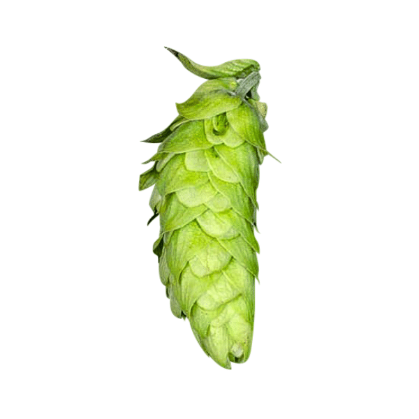 Huell Melon Hops (5kg) German Whole 2021