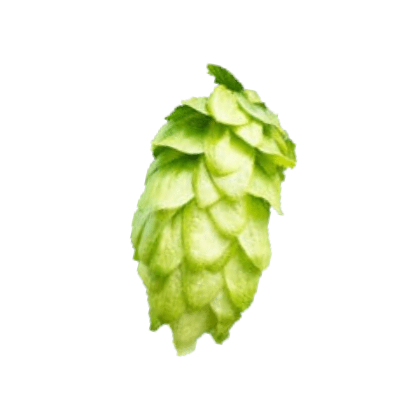 Jarrylo Hops (5kg) American 2020