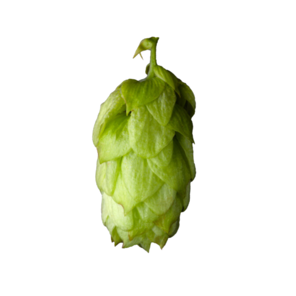  Lubelski Hops (5kg) Polish Whole 2021
