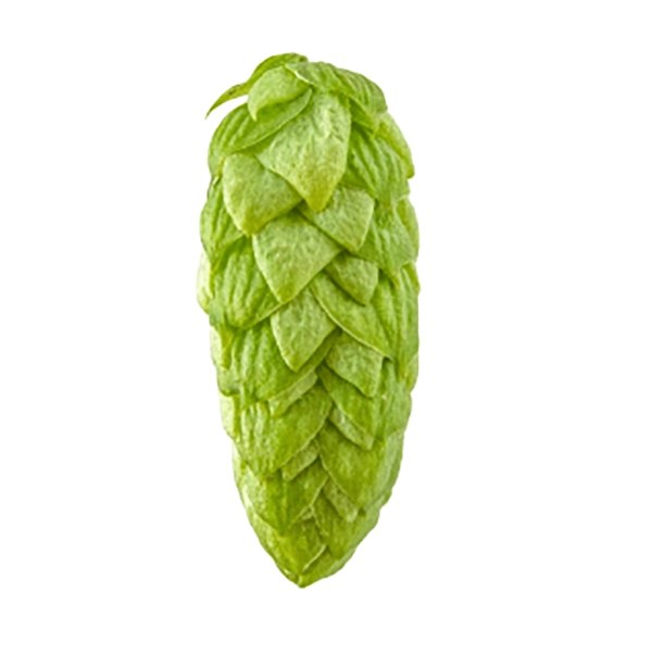Mosaic Hops (5kg) American 2022