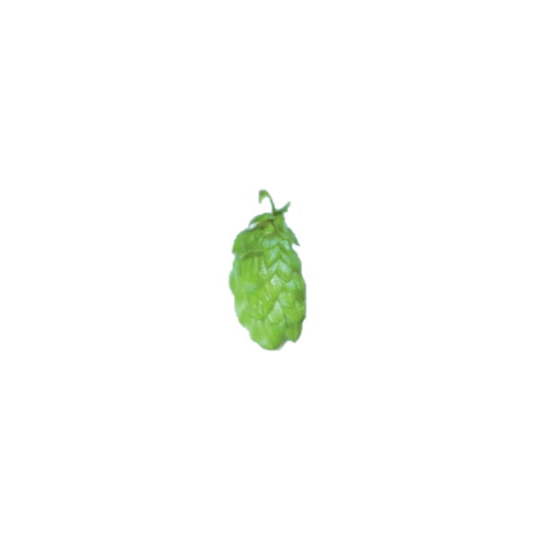 Premiant Hops (5kg) Czech 2021