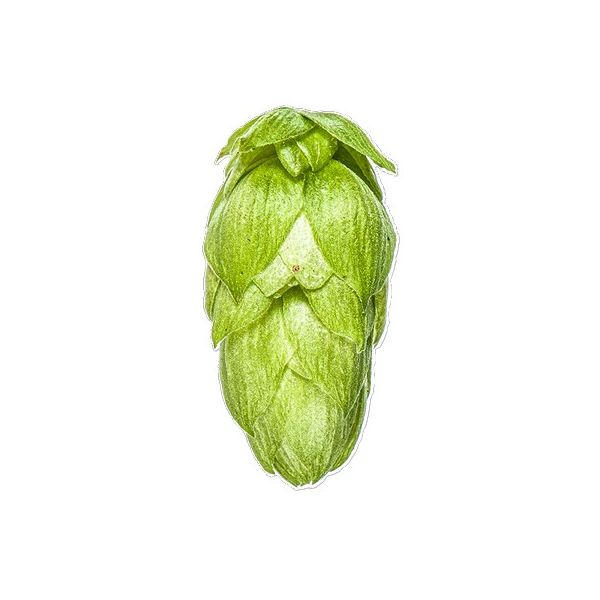 Rakauâ Hops (5kg) New Zealand 2022