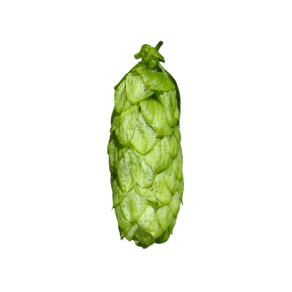 Sovereign Hops (5kg) British 2021