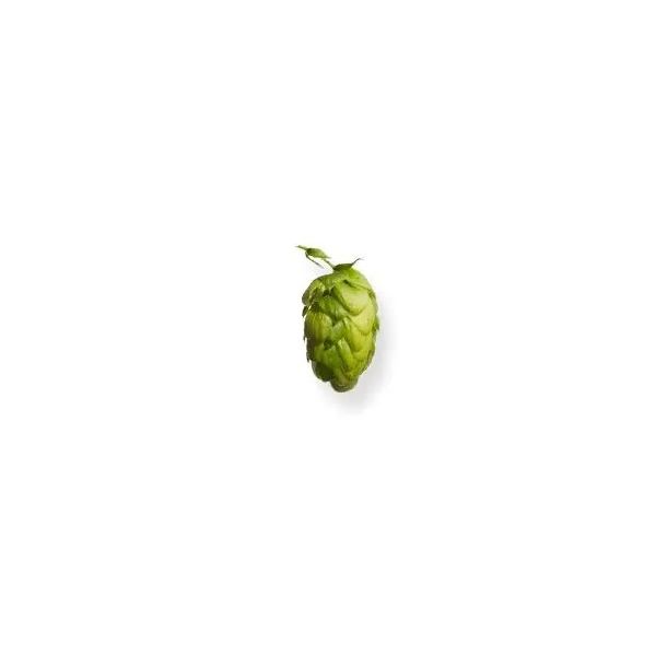 Styrian Wolf Hops (5kg) Polish 2021