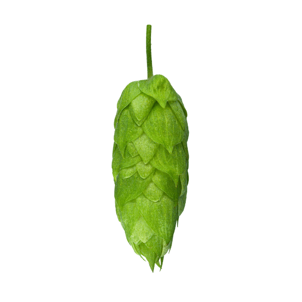 Waimea™ Hops (5kg) New Zealand 2021