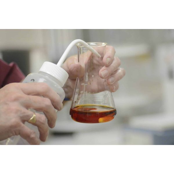 Carbohydrate Content in Beer