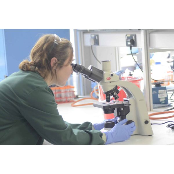 Full Microbiology Suite Of Testing