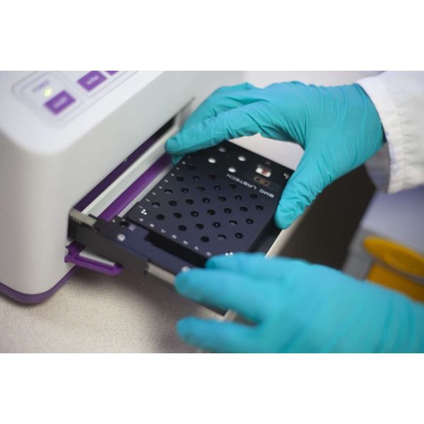 Gluten Fast Turnaround