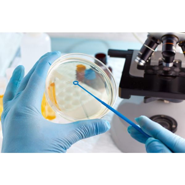 Mirco Plating - Standard 4 plate analysis