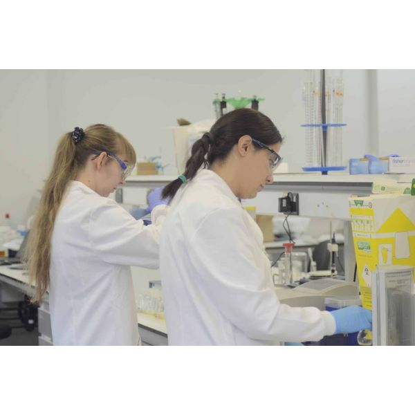 Chemotaxonomic Analysis Per Strain