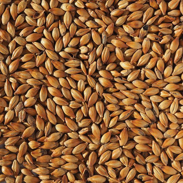 Crystal 240 Malt (25kg) (Cr)