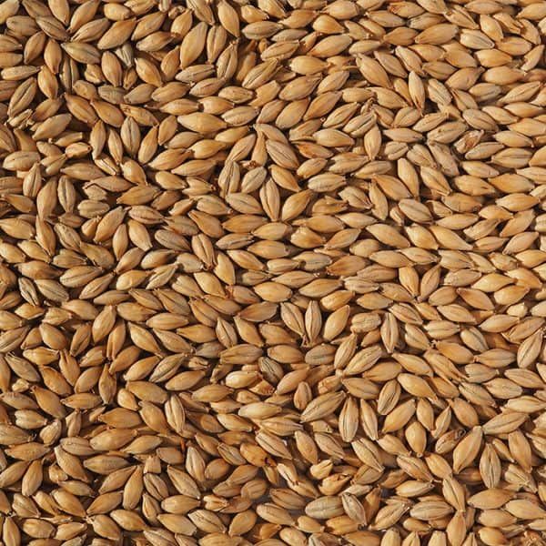 Extra Pale Ale Malt (Cr)