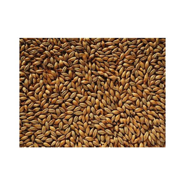 Maris Otter Finest Pale Ale Malt (Cr)