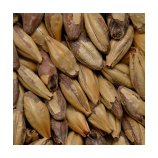 Chateau Arome Malt (CM)