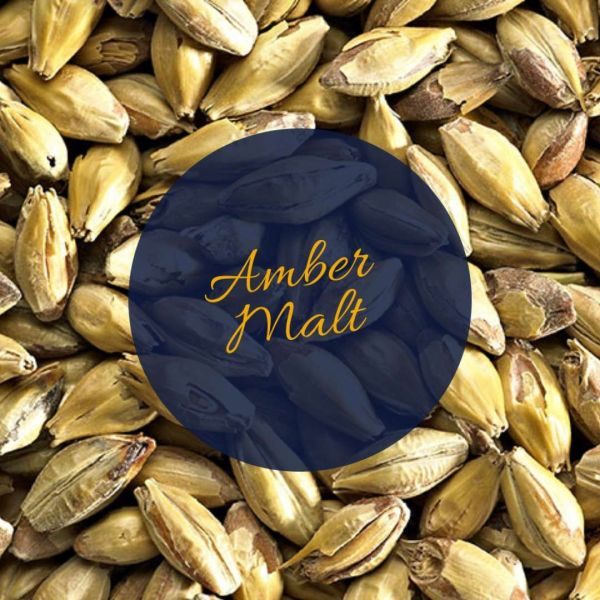 Amber Malt (S)
