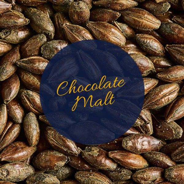 Chocoate Malt (S)