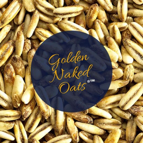 Golden Naked Oats Malt (S)