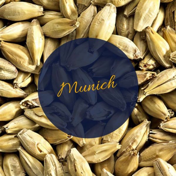 Munich Malt (S)