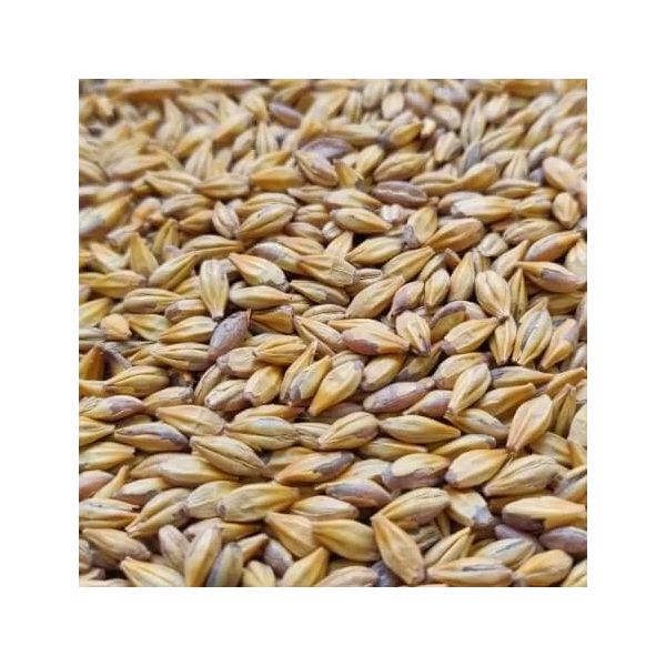 Caramel 30 EBC Malt (25kg)