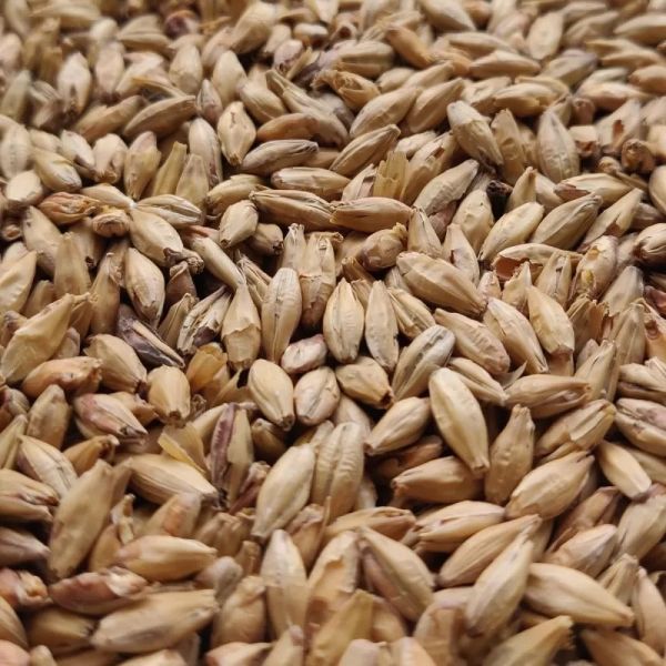 Munich Malt (25kg)