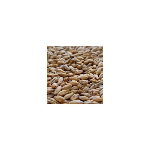 Pale Ale Malt (25kg) 