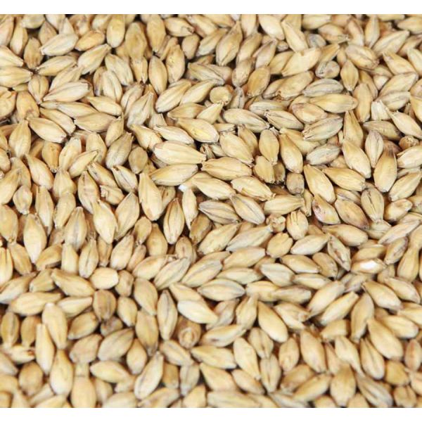 Barke Pilsner Malt Crushed (25kg) 