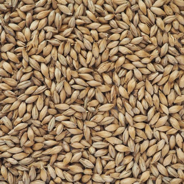 Premium Pilsner Malt (W)