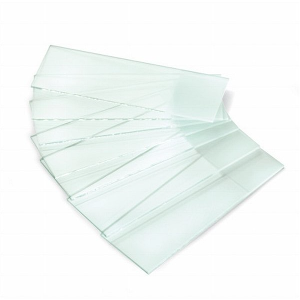 Microscope Slide